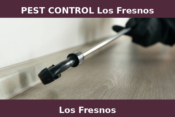 PEST CONTROL Los Fresnos